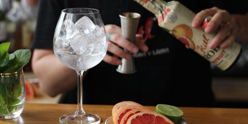 Grepový Gin-Tonic koktail
